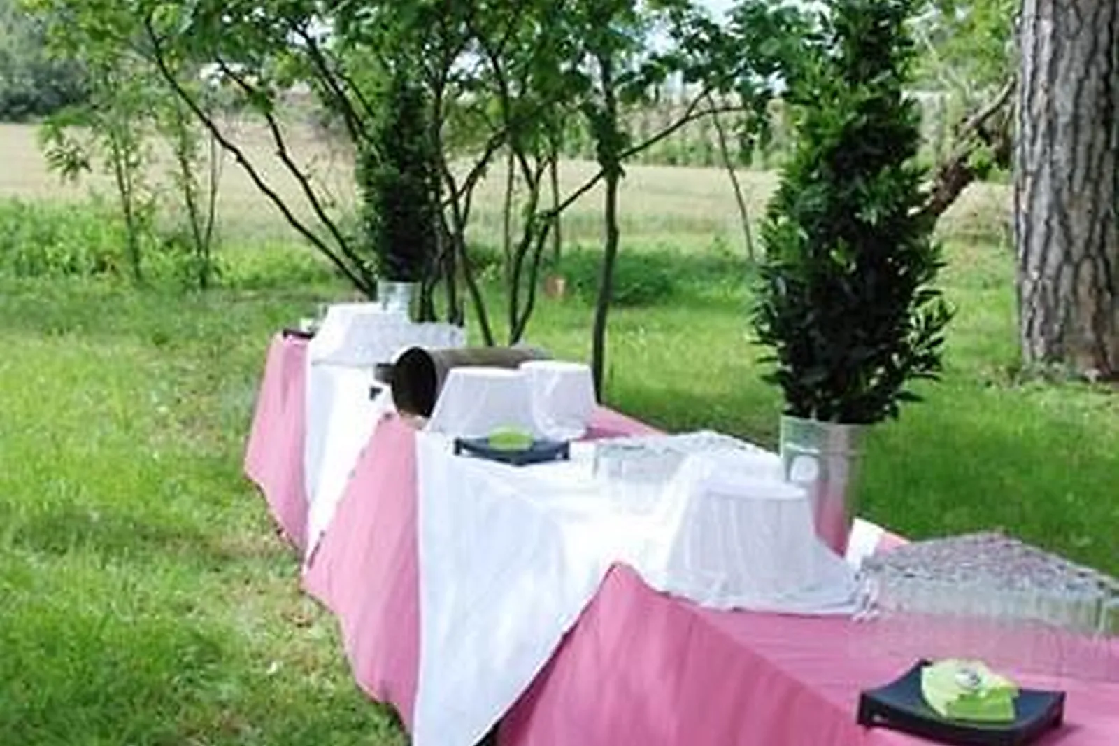 Lieux événementiels, LES SALONS DE VÉRO