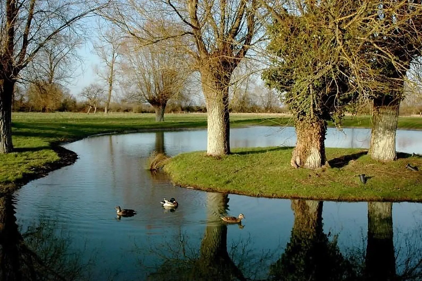 Lieux événementiels, LES SAULES