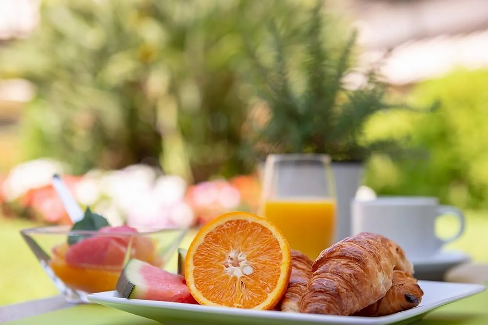 Lieux événementiels, LES STRELITZIAS