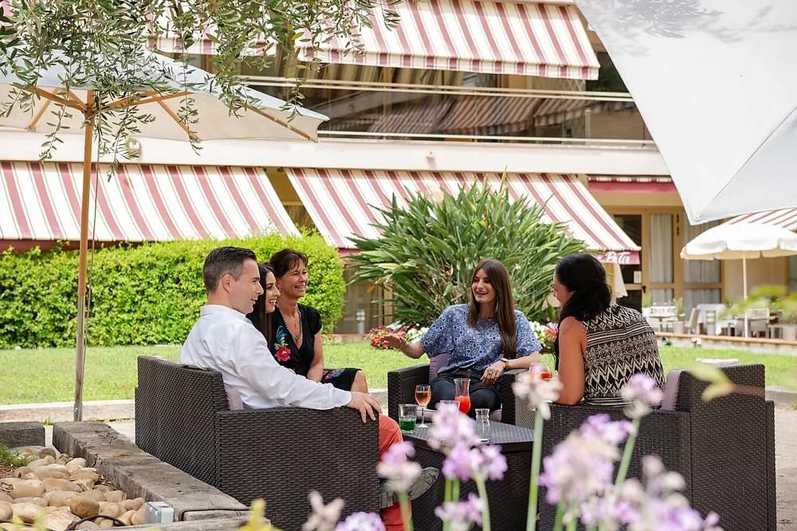 Lieux événementiels, LES STRELITZIAS