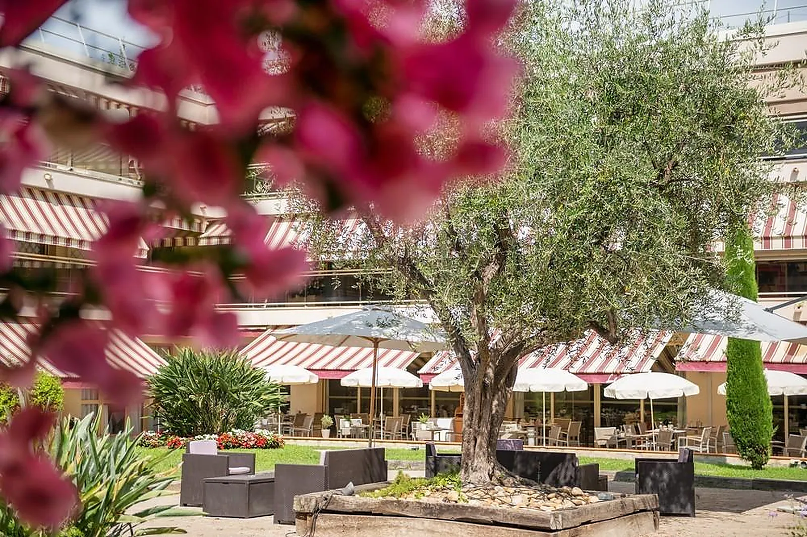 Lieux événementiels, LES STRELITZIAS