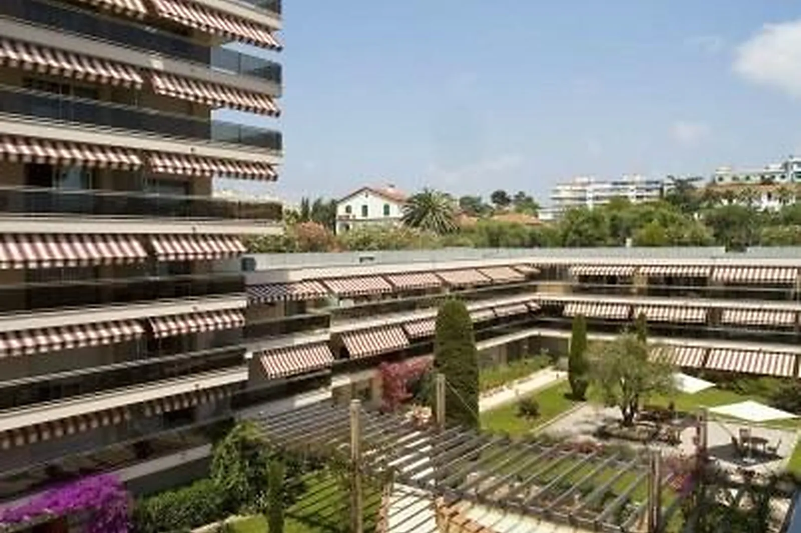 Lieux événementiels, LES STRELITZIAS