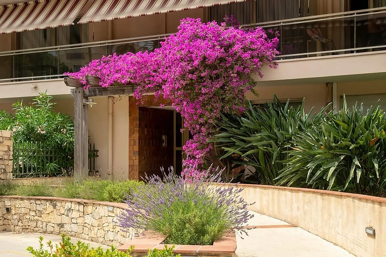 Lieux événementiels, LES STRELITZIAS