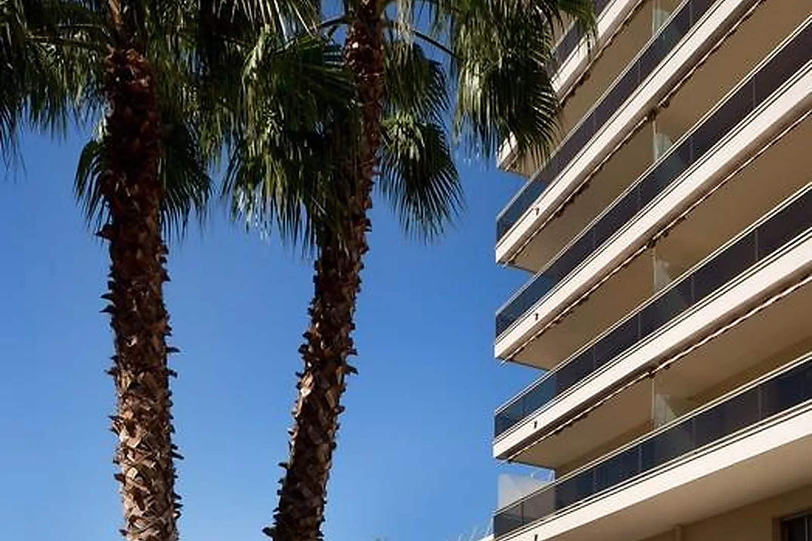 Lieux événementiels, LES STRELITZIAS