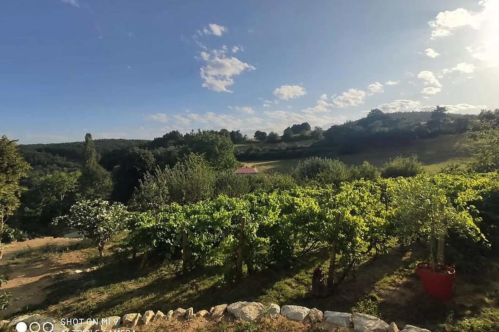 Lieux événementiels, LES GÎTES DE L’ALOUETTE