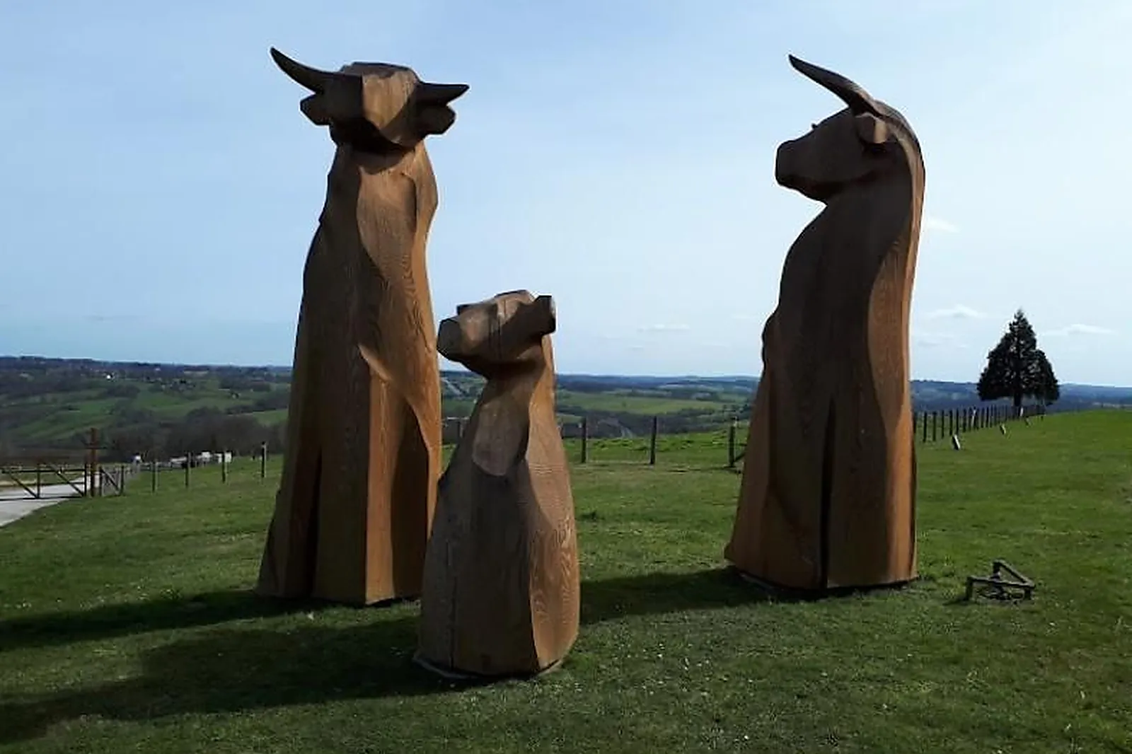 Lieux événementiels, LIMOUSINE PARK