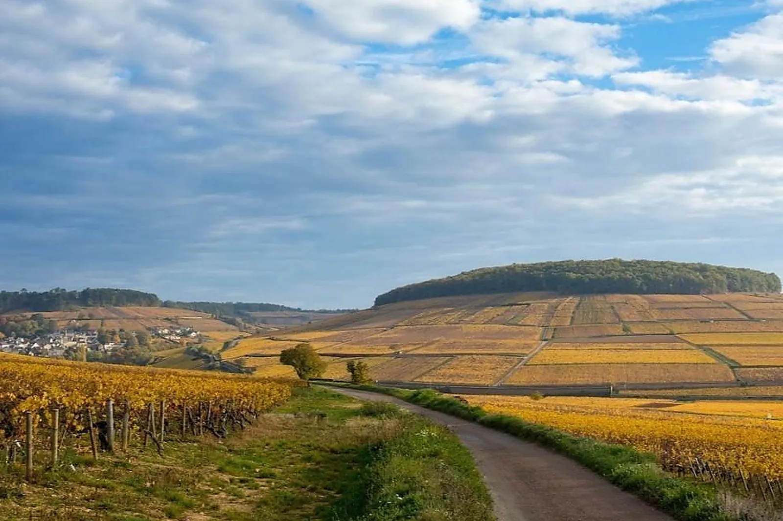 Lieux événementiels, MAISON CHAMPY
