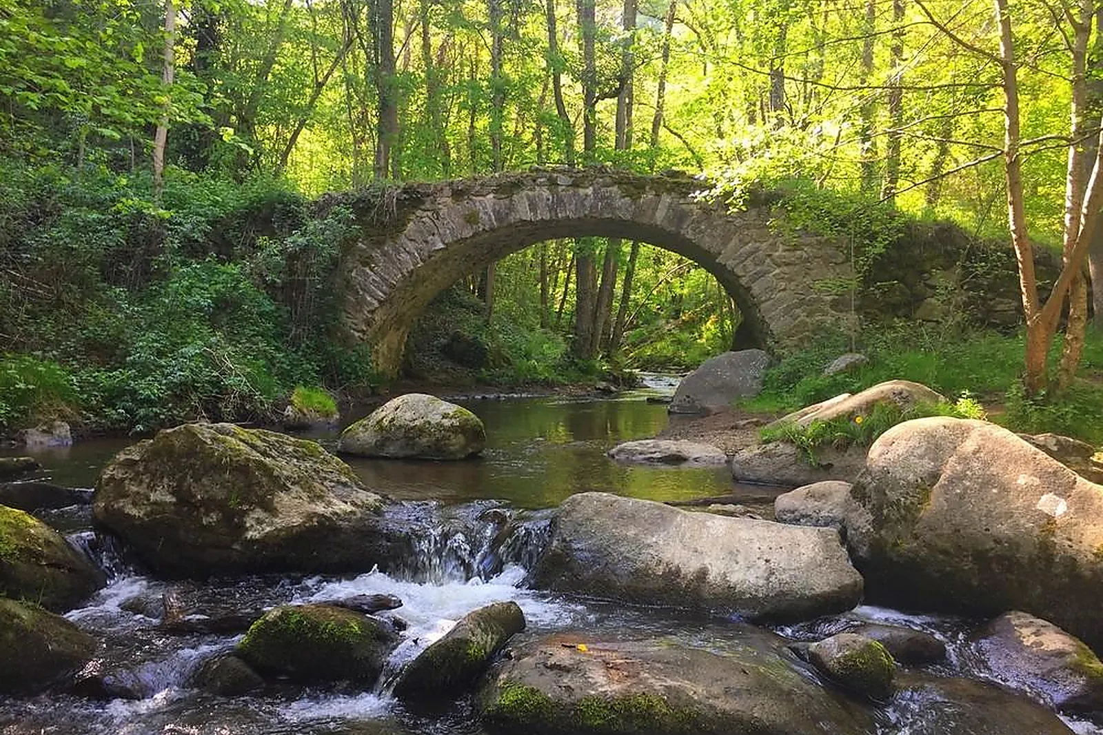 Lieux événementiels, MAISON DE LA MONNE