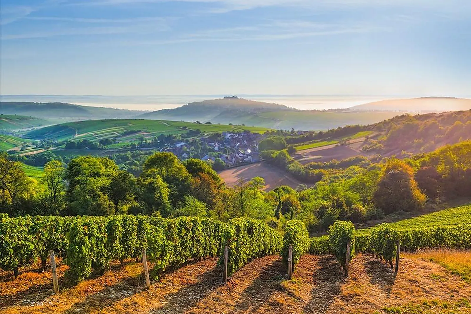 Lieux événementiels, MAISON DES SANCERRE