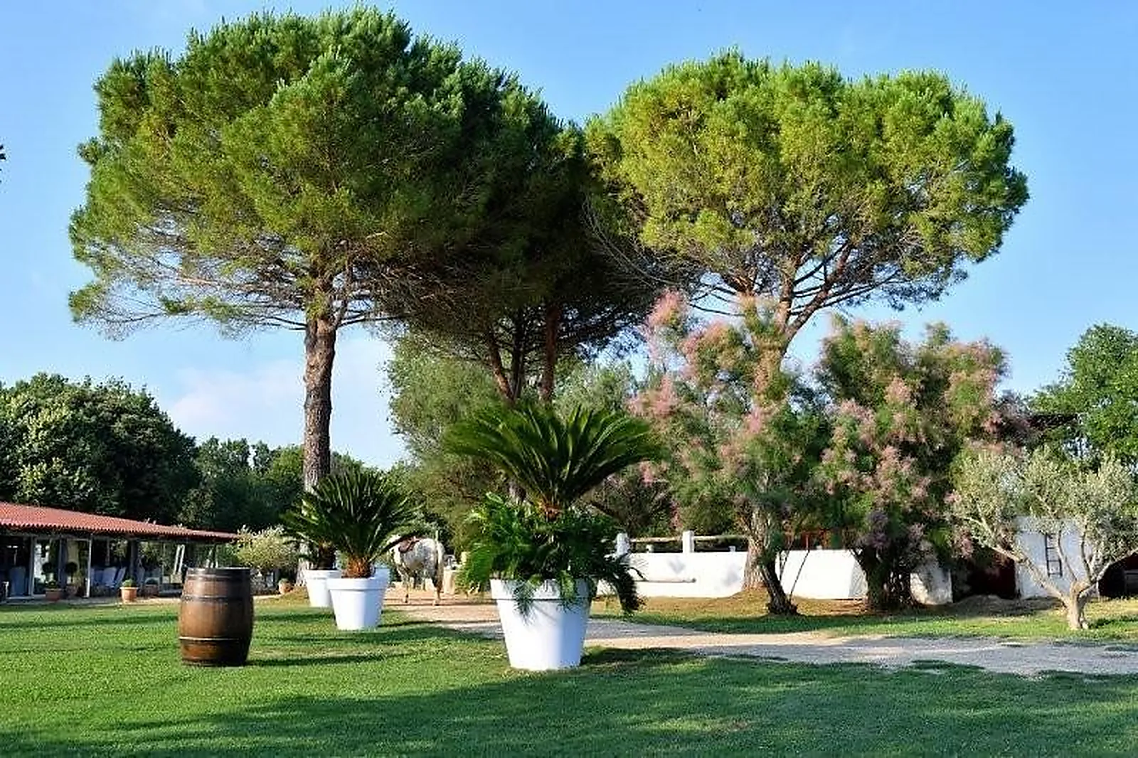 Lieux événementiels, MANADE BOCH