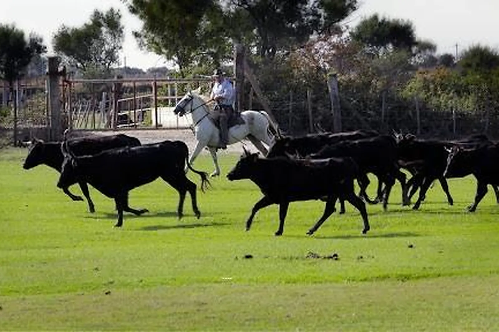 Lieux événementiels, MANADE CHAPELLE ALBERT