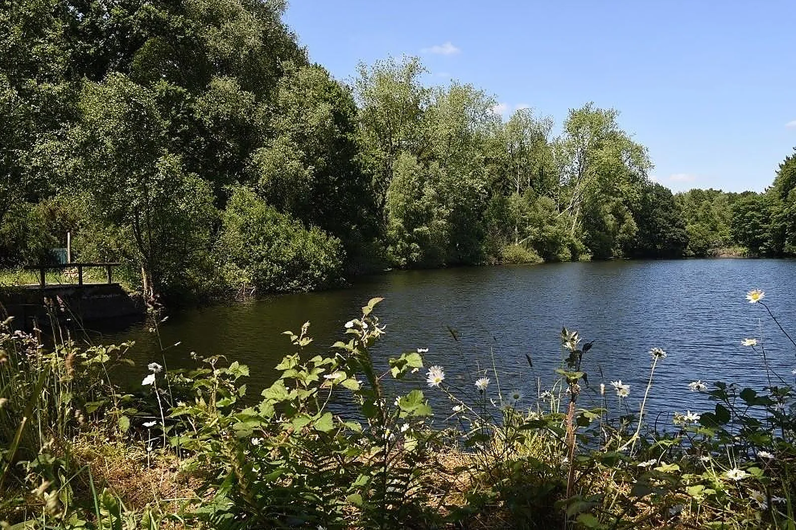 Lieux événementiels, MANOIR D'ALEXANDRE
