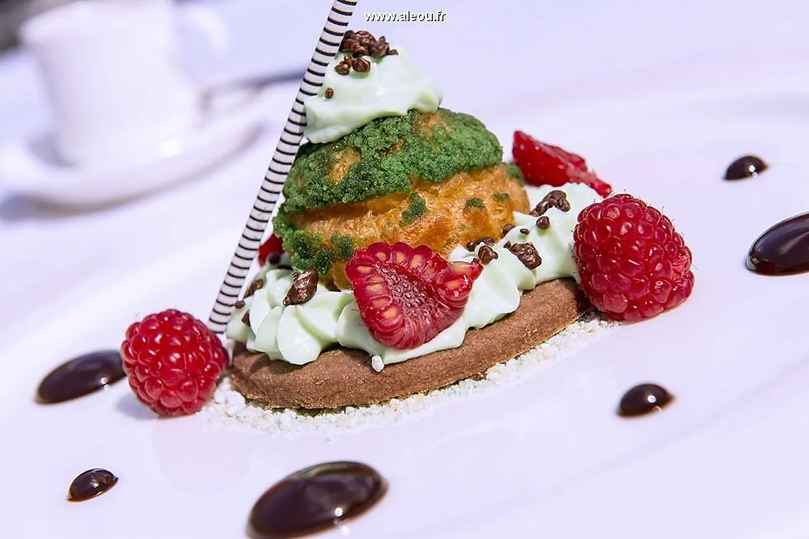 Lieux événementiels, MANOIR DE GRESSY