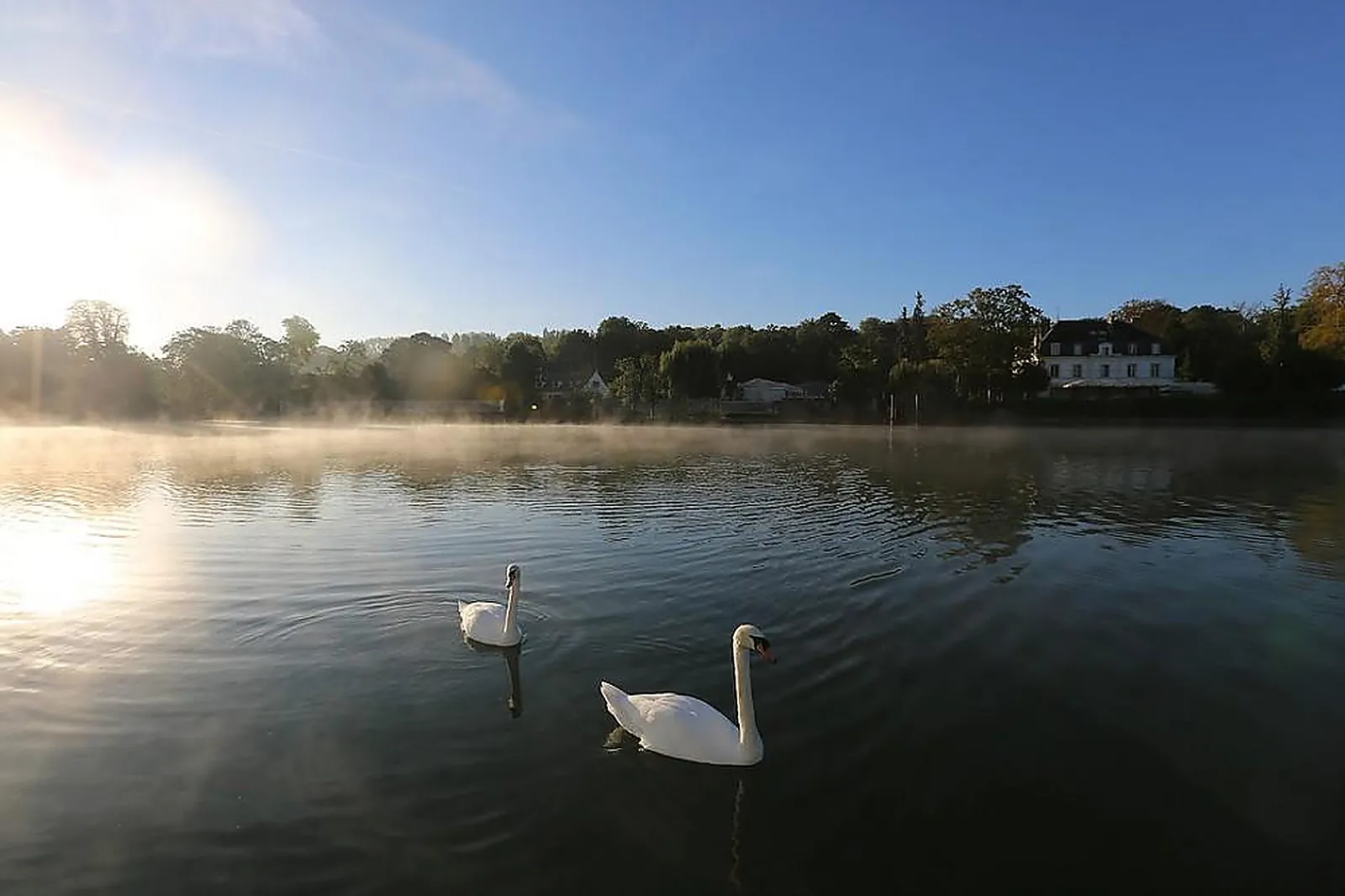 Lieux événementiels, MANOIR DES CYGNES