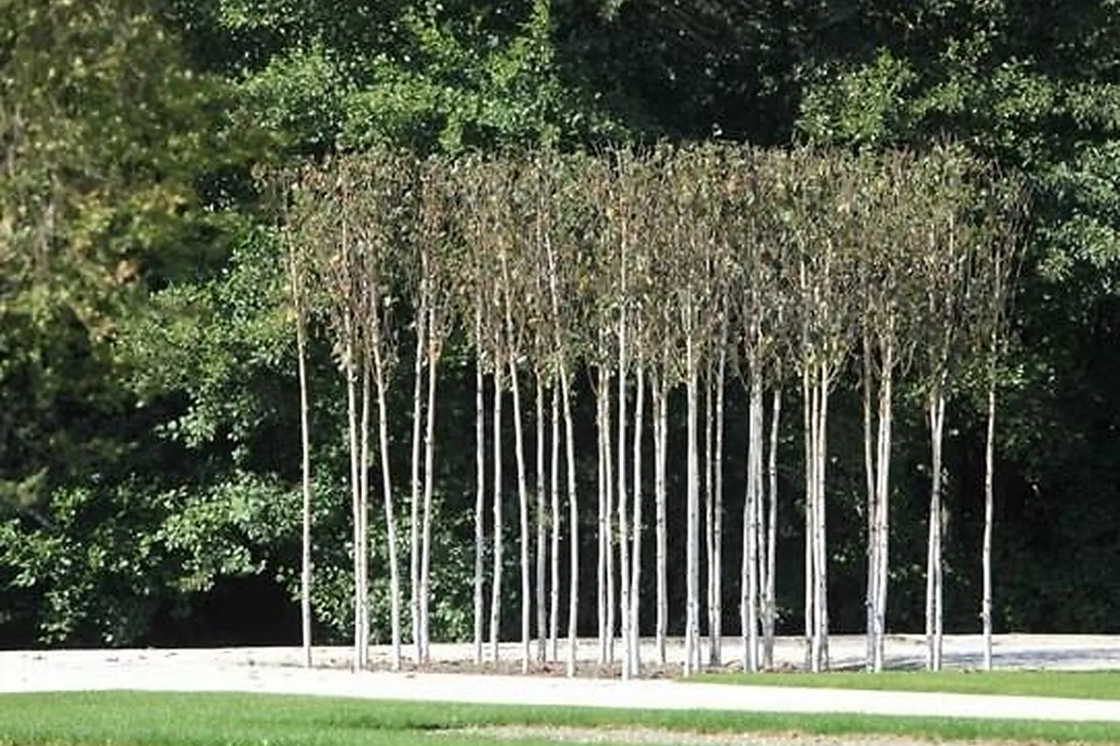 Lieux événementiels, MANOIR DU CHAMPAGNE DEVAUX