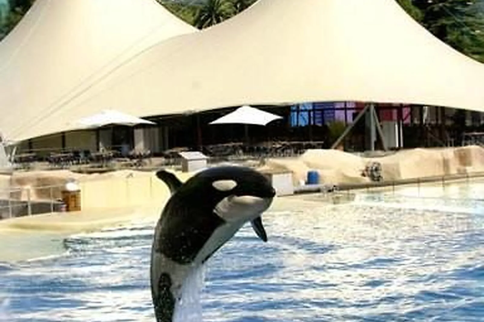 Lieux événementiels, MARINELAND