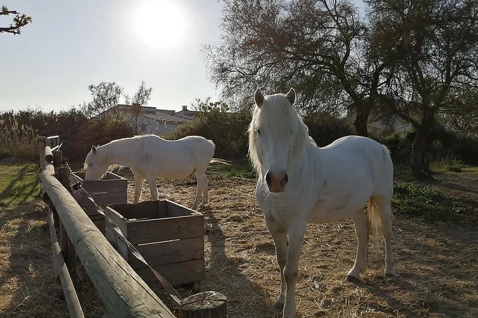 Lieux événementiels, MAS DE CALABRUN