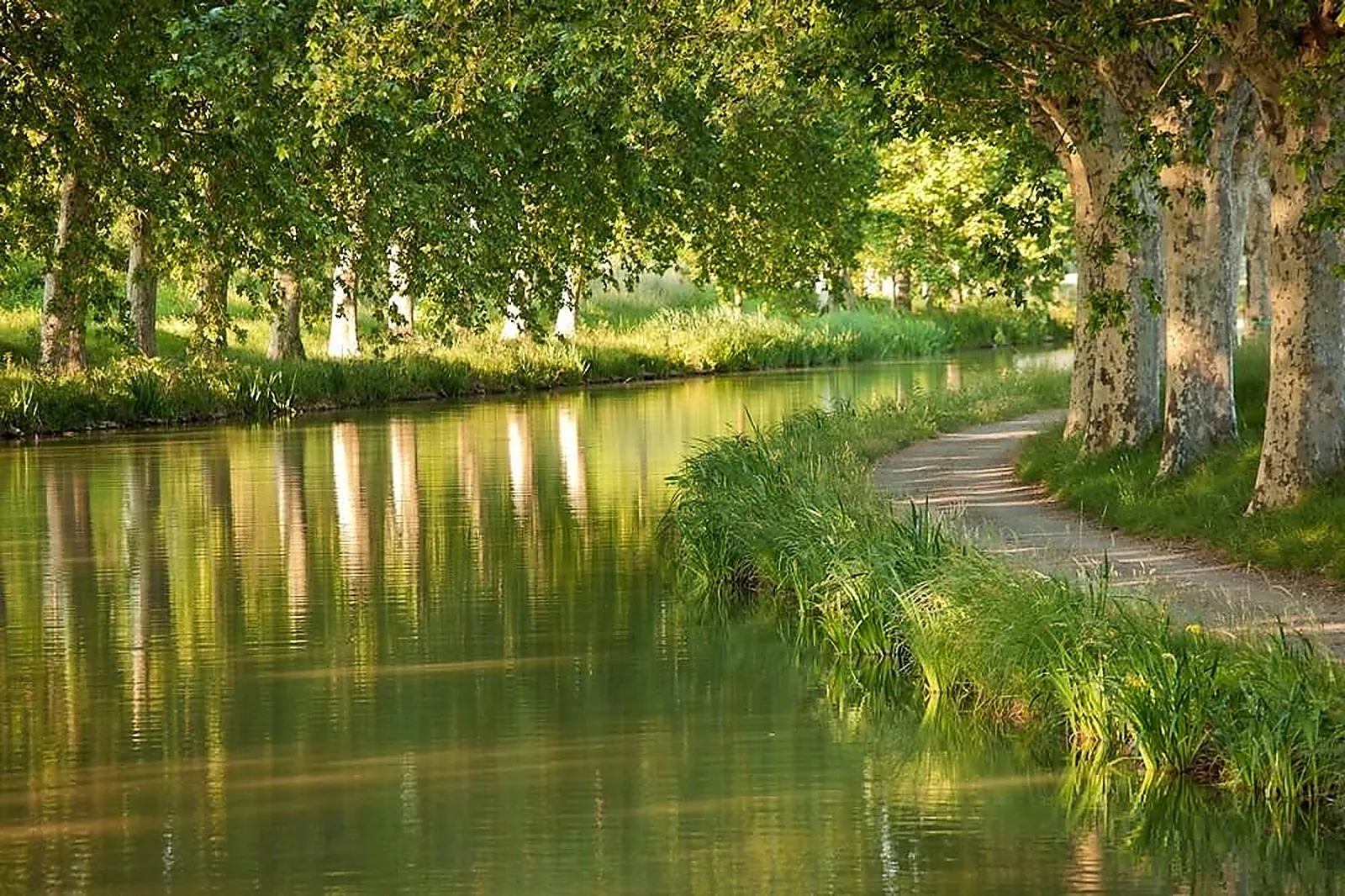 Lieux événementiels, MAS DES CANELLES