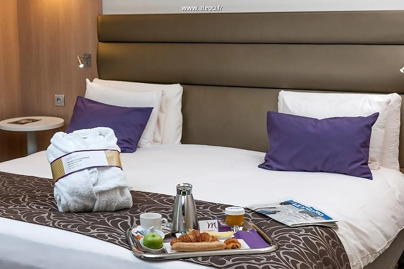 Lieux événementiels, MERCURE GRENOBLE CENTRE PRESIDENT