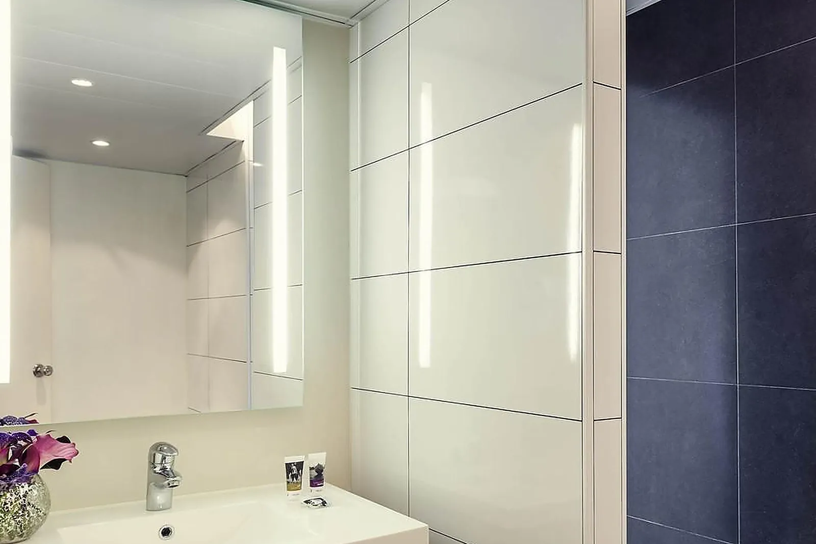 Lieux événementiels, MERCURE PARIS PORTE D'ORLEANS