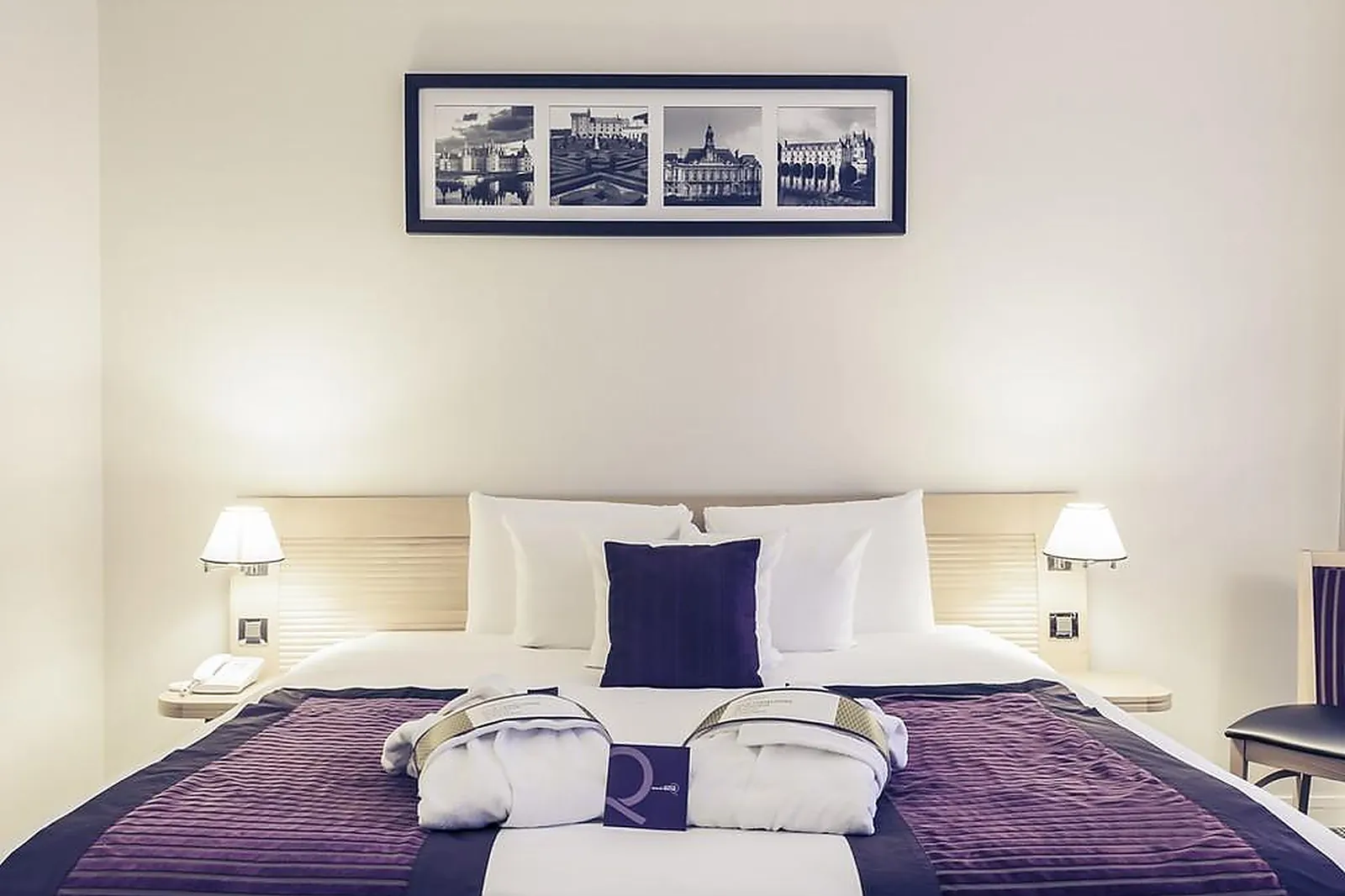 Lieux événementiels, MERCURE TOURS CENTRE GARE ET CONGRÈS