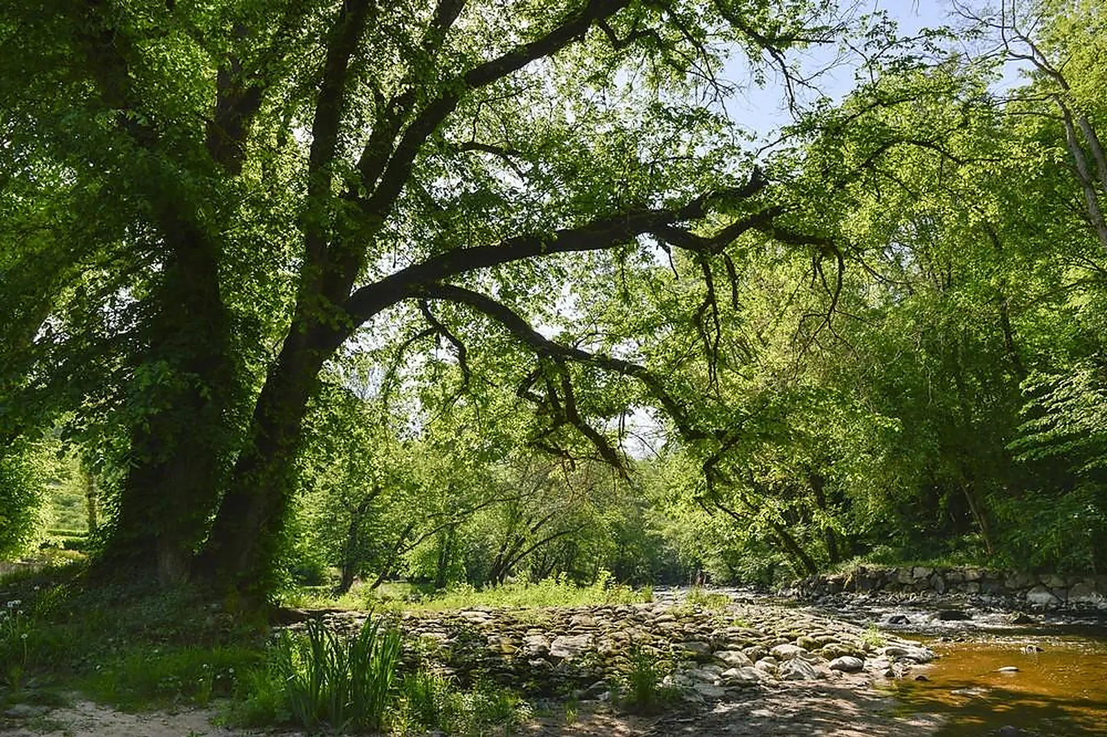 Lieux événementiels, MOULIN DES TEMPLIERS