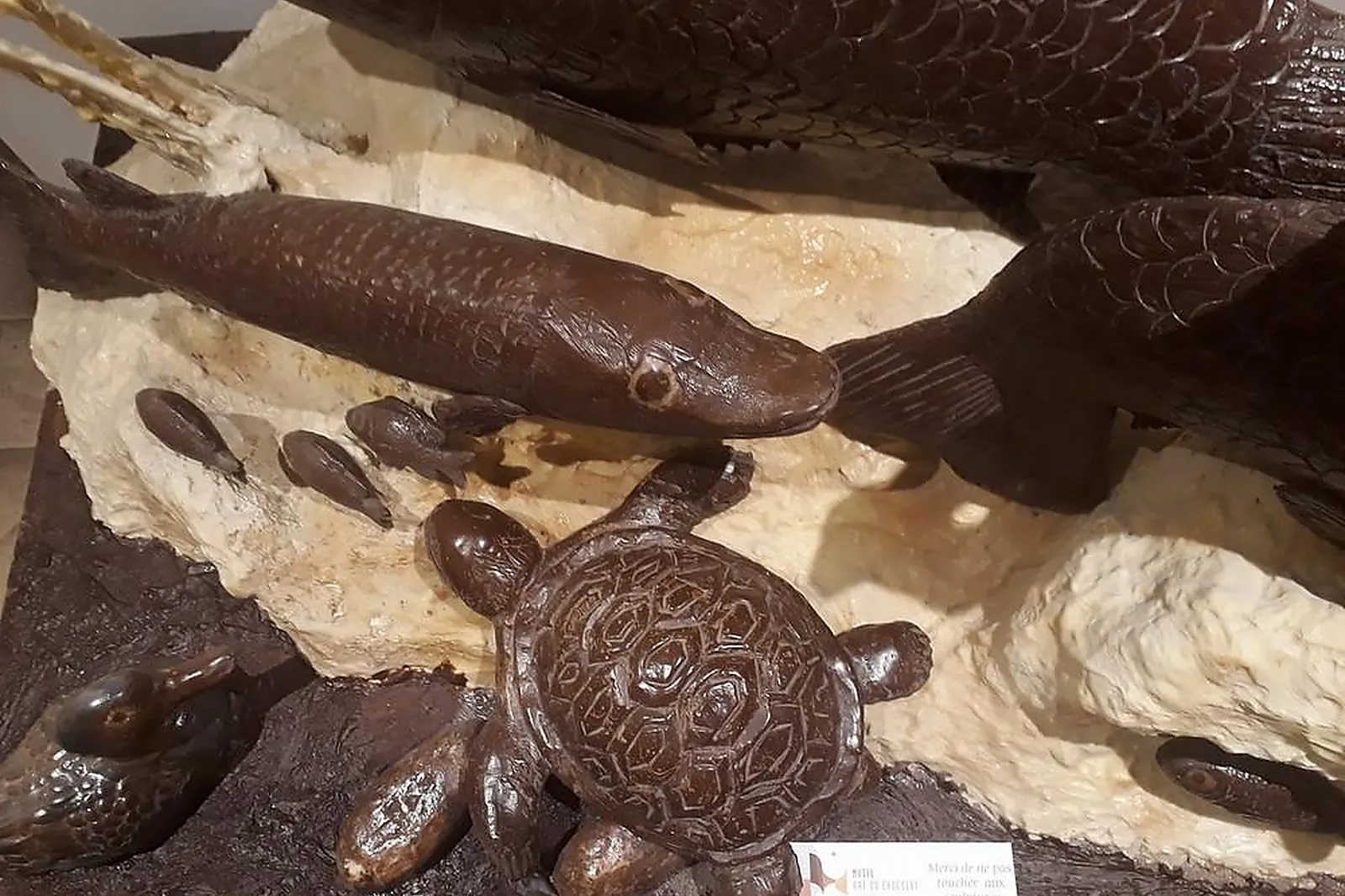 Lieux événementiels, MUSÉE ART DU CHOCOLAT