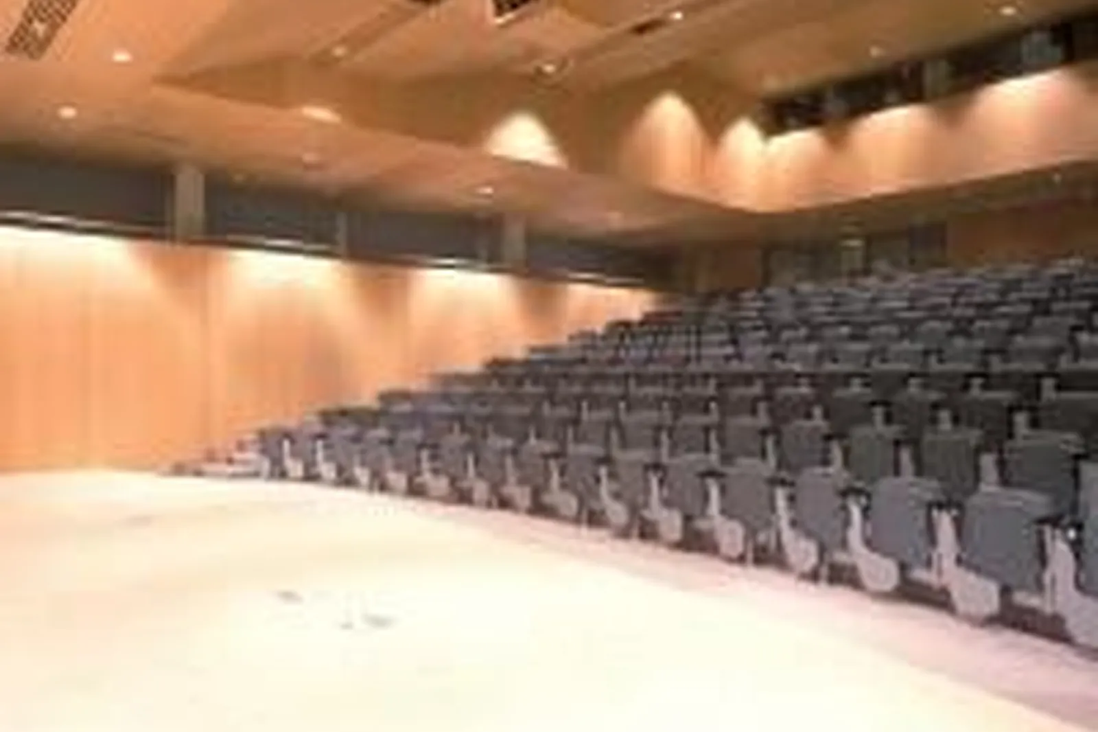 Lieux événementiels, MUSÉE GALLO-ROMAIN