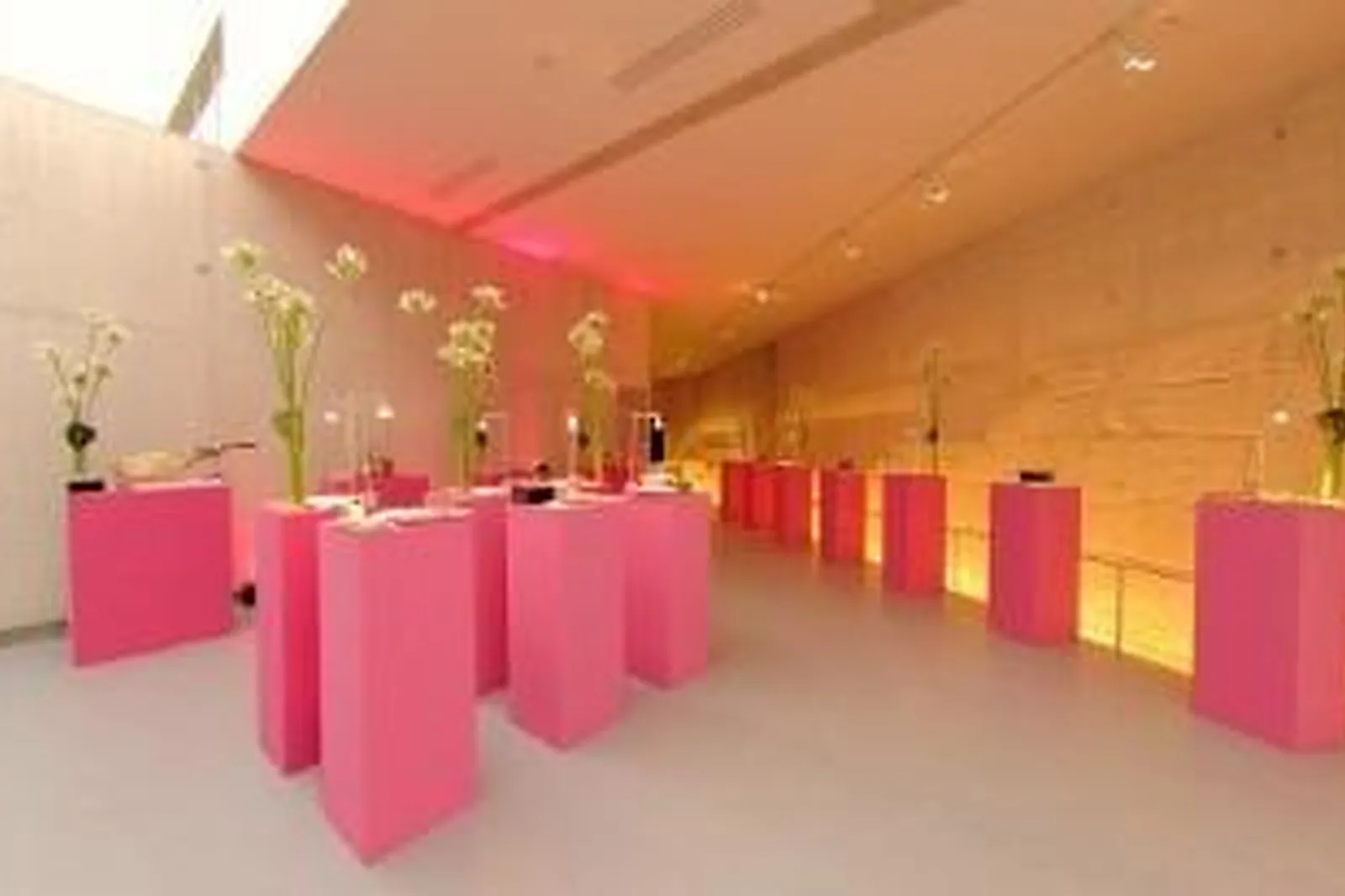 Lieux événementiels, MUSÉE NATIONAL DE L'ORANGERIE