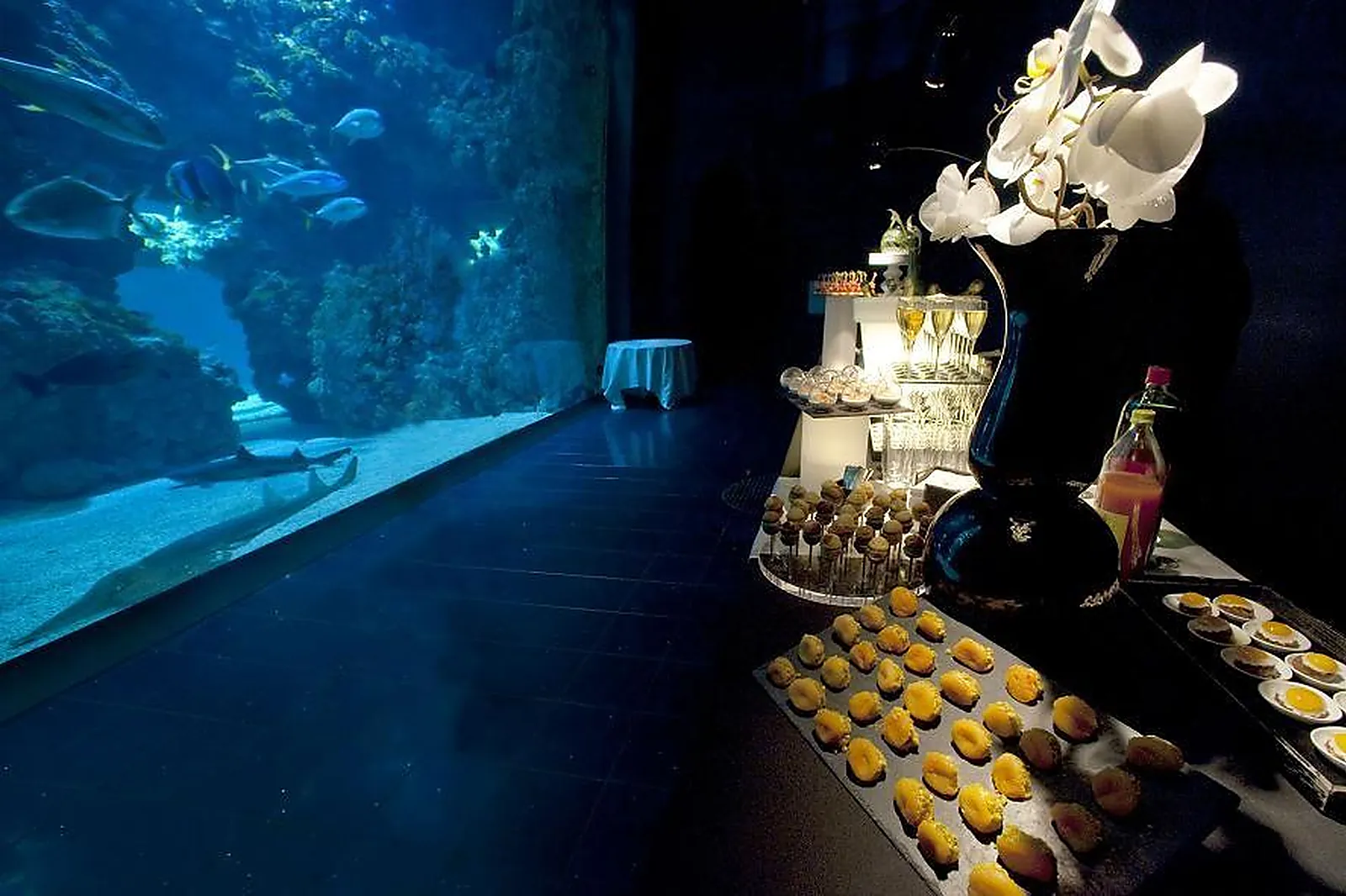 Lieux événementiels, MUSÉE OCÉANOGRAPHIQUE DE MONACO