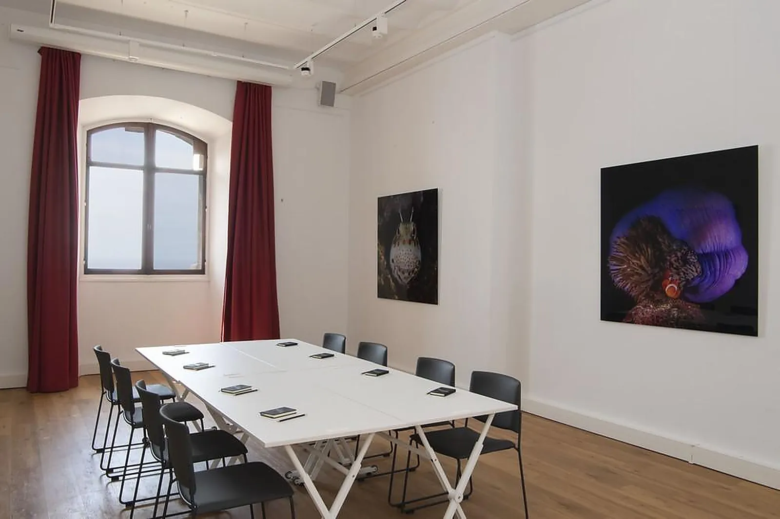 Lieux événementiels, MUSÉE OCÉANOGRAPHIQUE DE MONACO