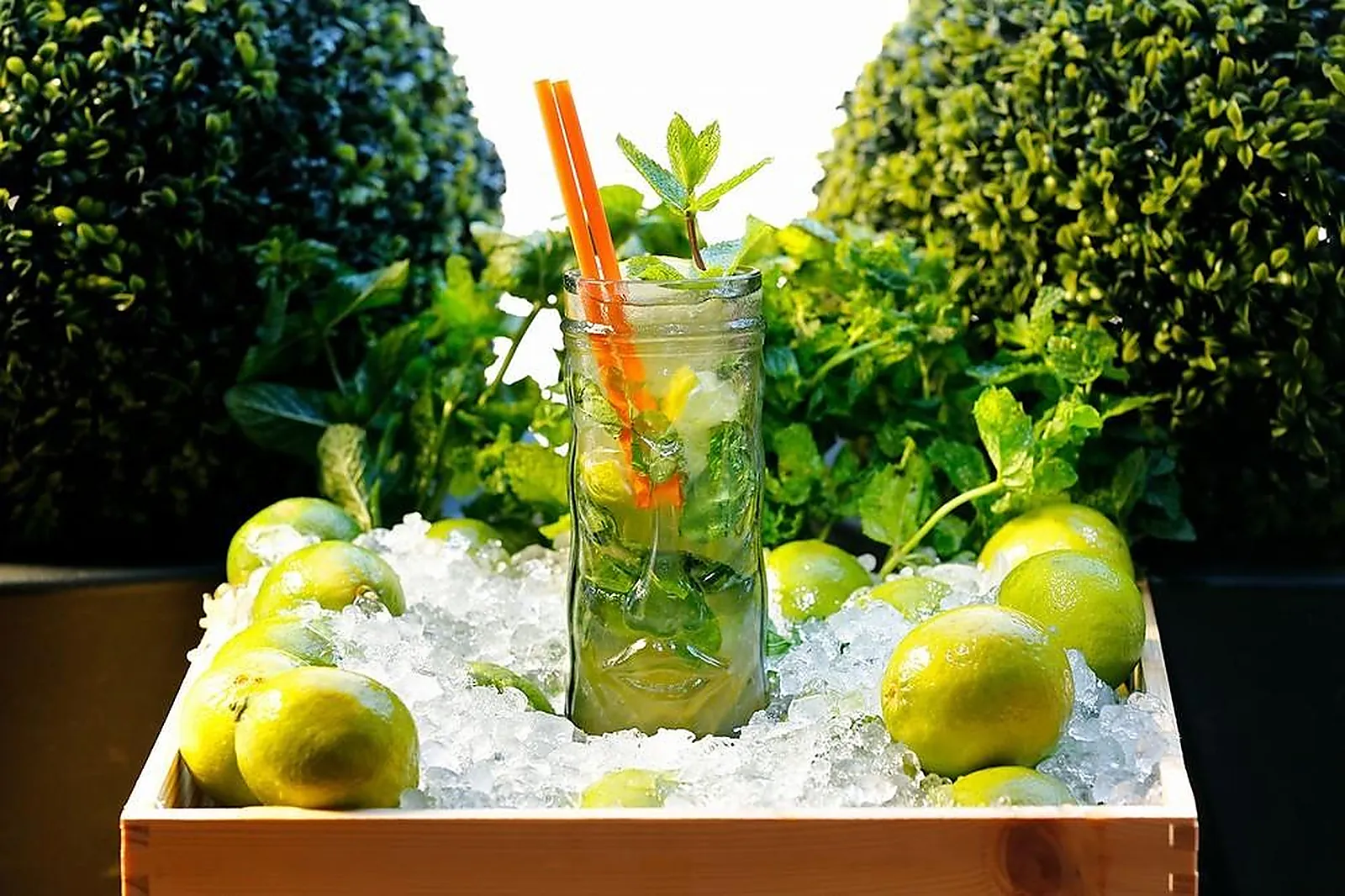 Lieux événementiels, NEGRECOSTE HOTEL ET SPA