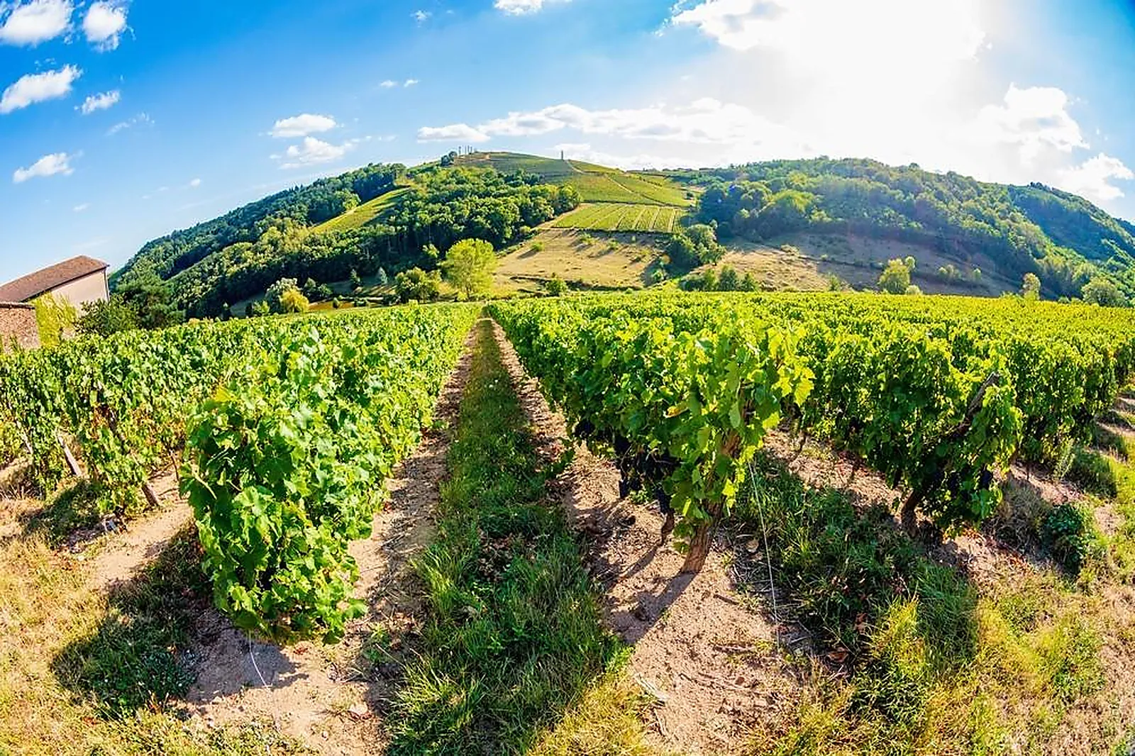 Lieux événementiels, NOEMYS MORGON