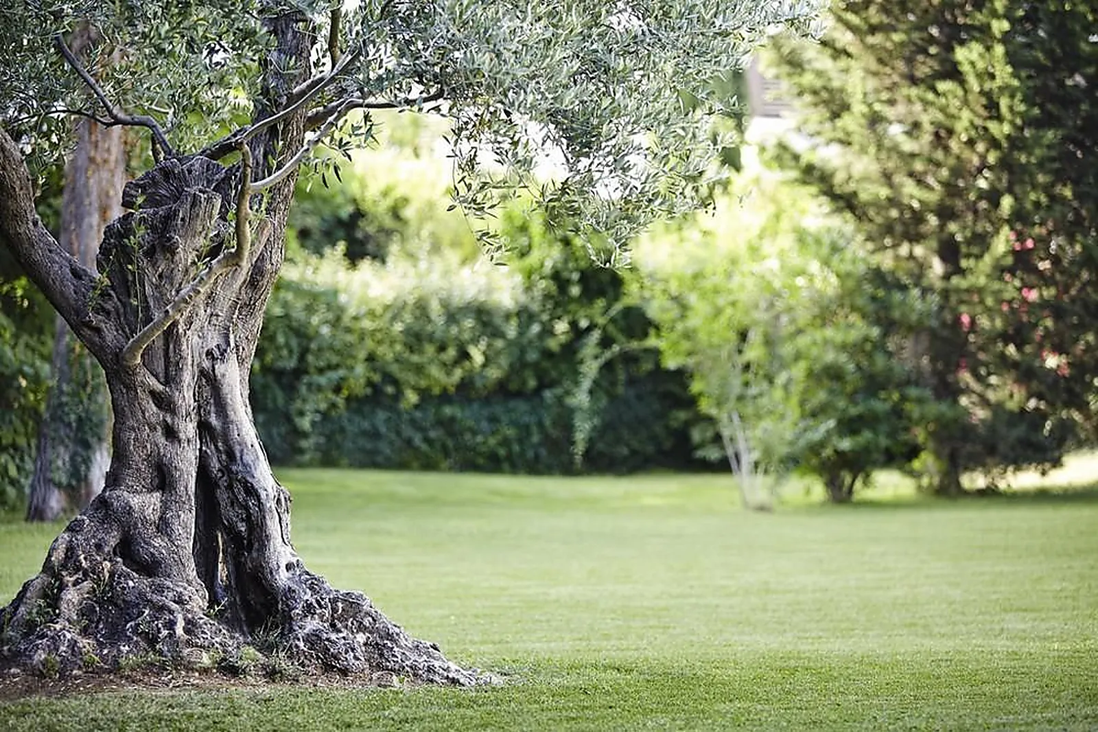 Lieux événementiels, NOVOTEL MONTPELLIER