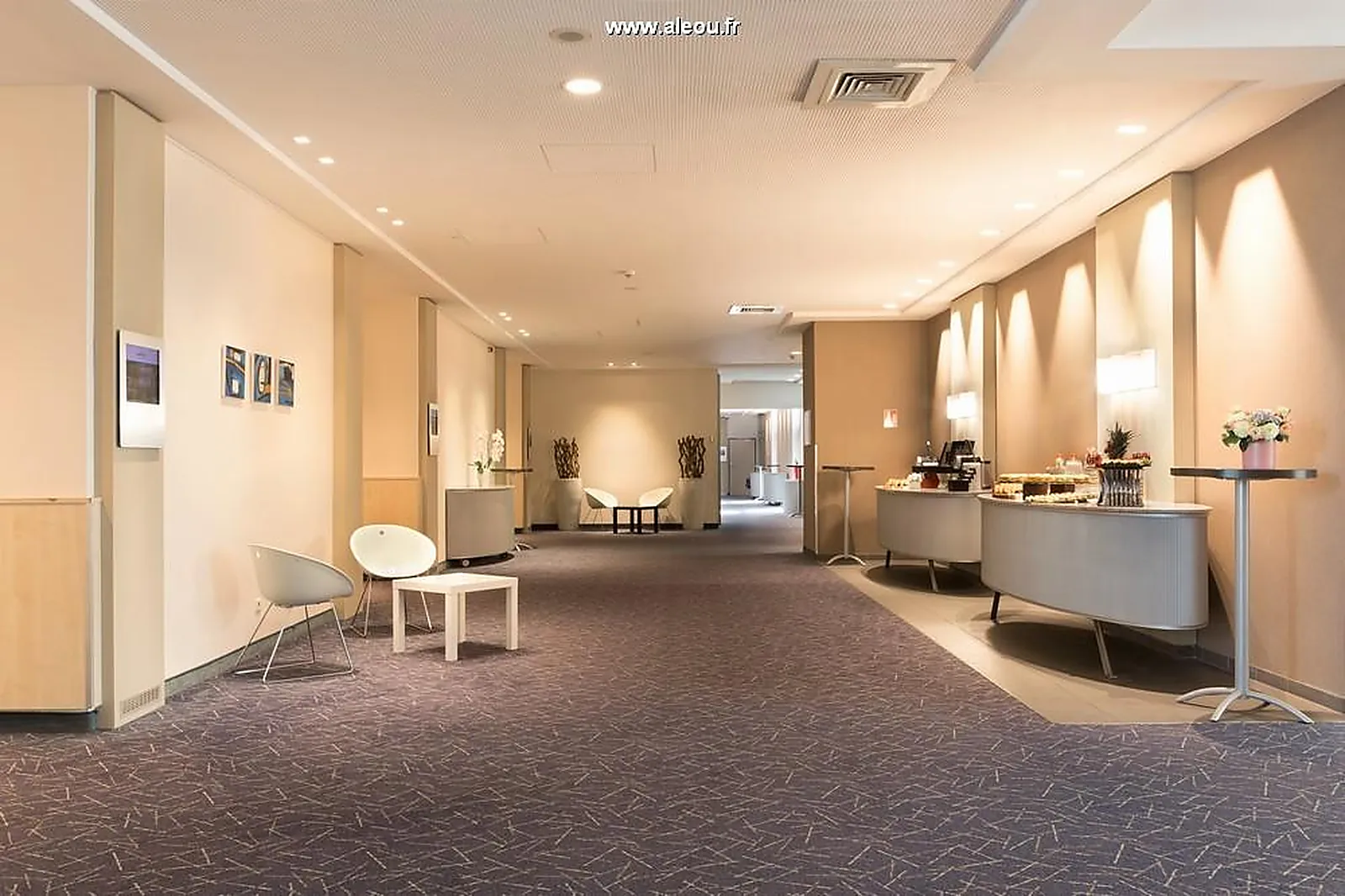 Lieux événementiels, NOVOTEL PARIS ROISSY CDG CONVENTION