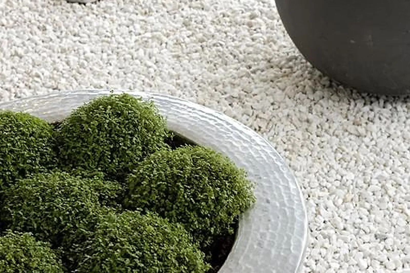 Lieux événementiels, NOVOTEL POISSY ORGEVAL