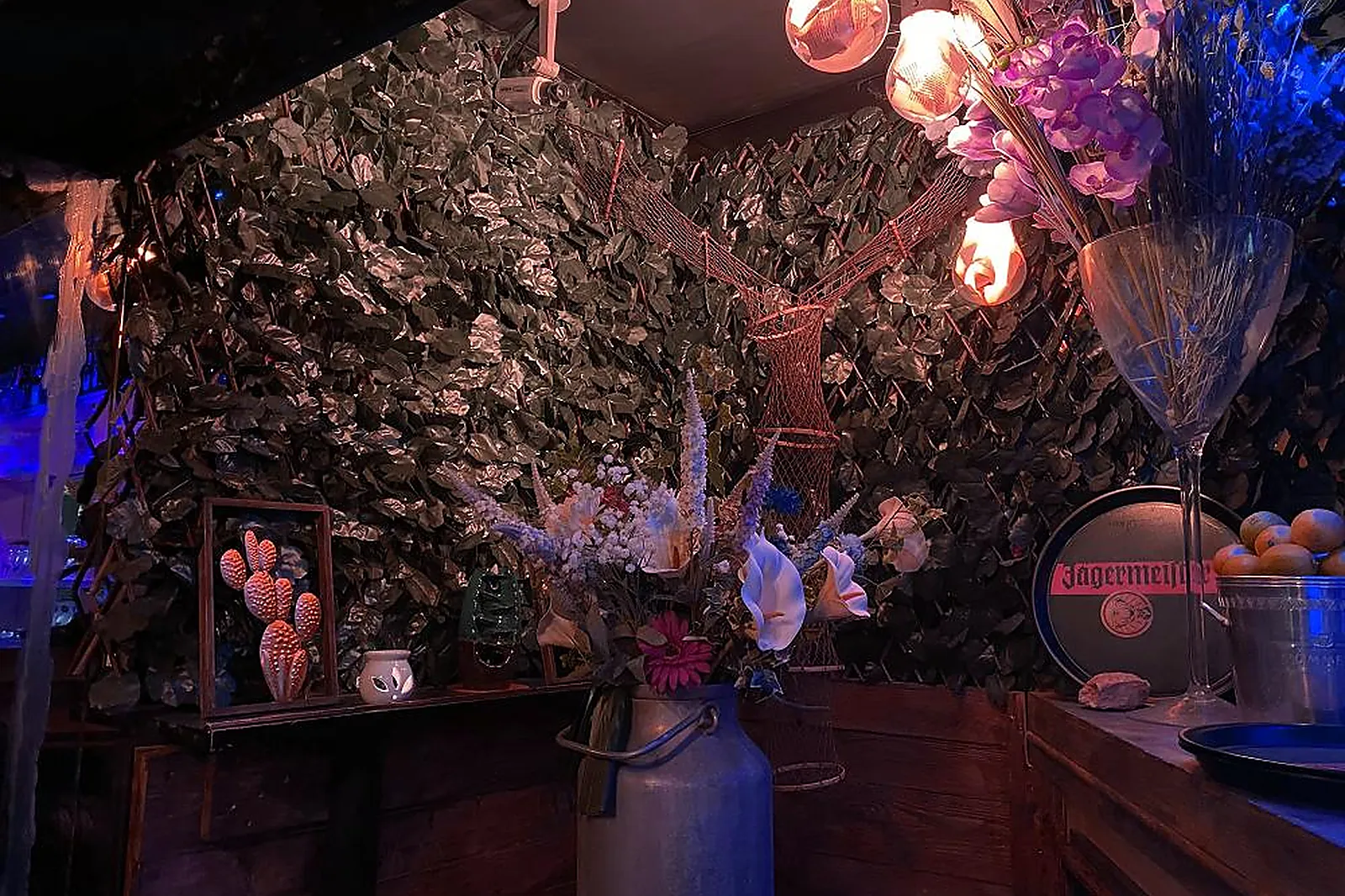 Lieux événementiels, NUTOPIA