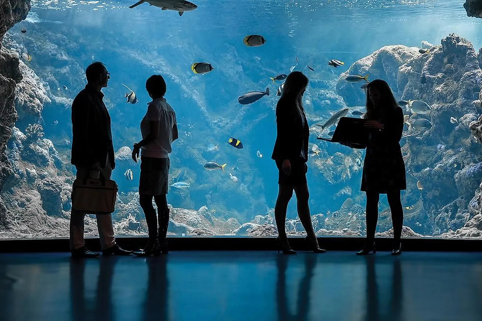 Lieux événementiels, OCÉANOPOLIS