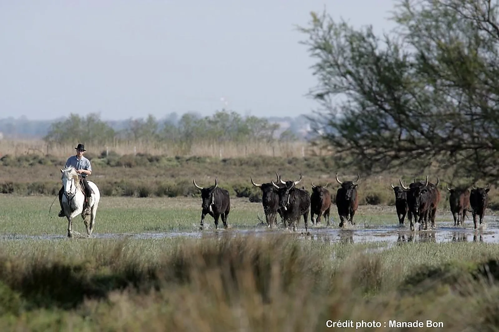 Lieux événementiels, PALAIS DES CONGRES D'ARLES
