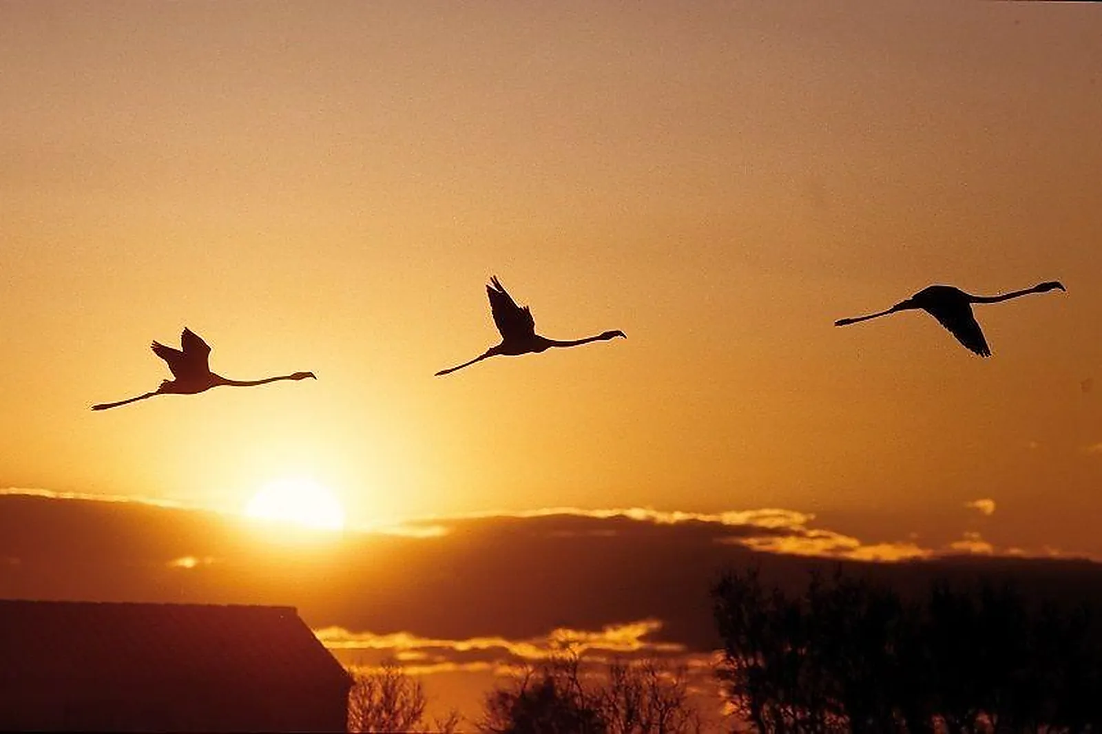 Lieux événementiels, PALAIS DES CONGRES D'ARLES