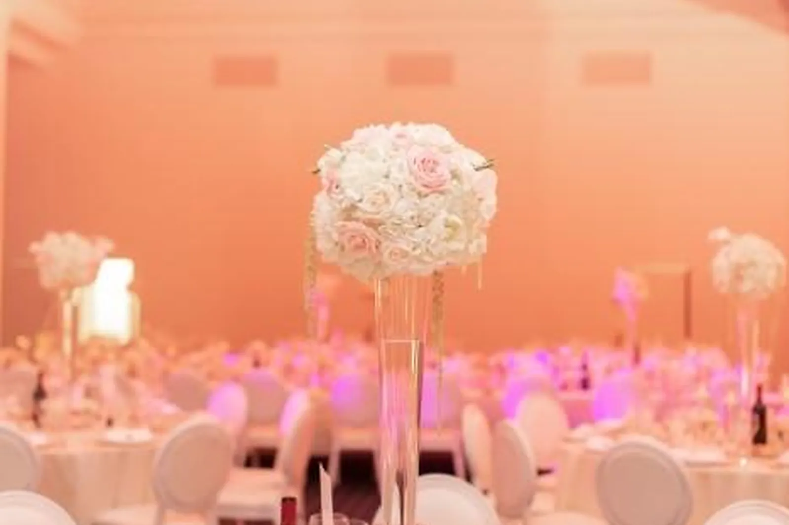 Lieux événementiels, PALM BEACH CANNES