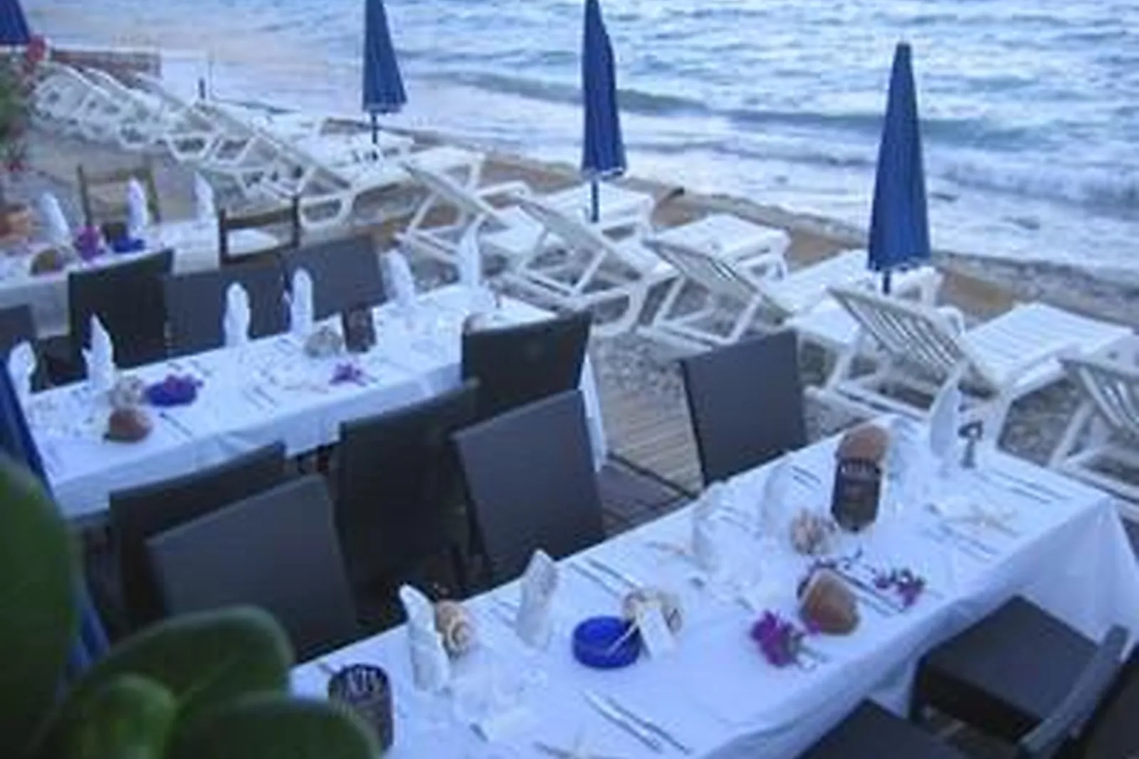 Lieux événementiels, PAPAYA BEACH