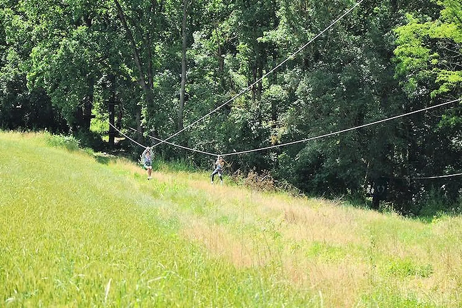 Lieux événementiels, PARC AVENTURE NATURA GAME