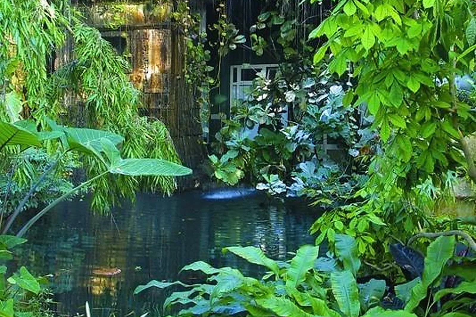 Lieux événementiels, PARC PHOENIX