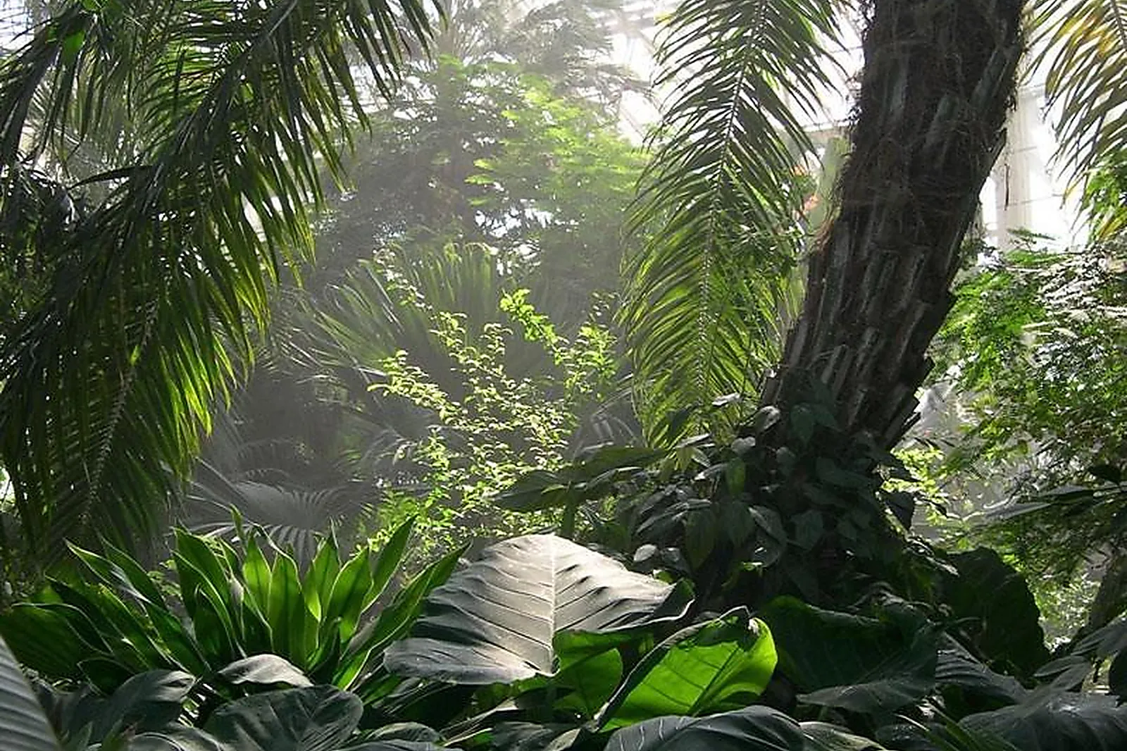 Lieux événementiels, PARC PHOENIX