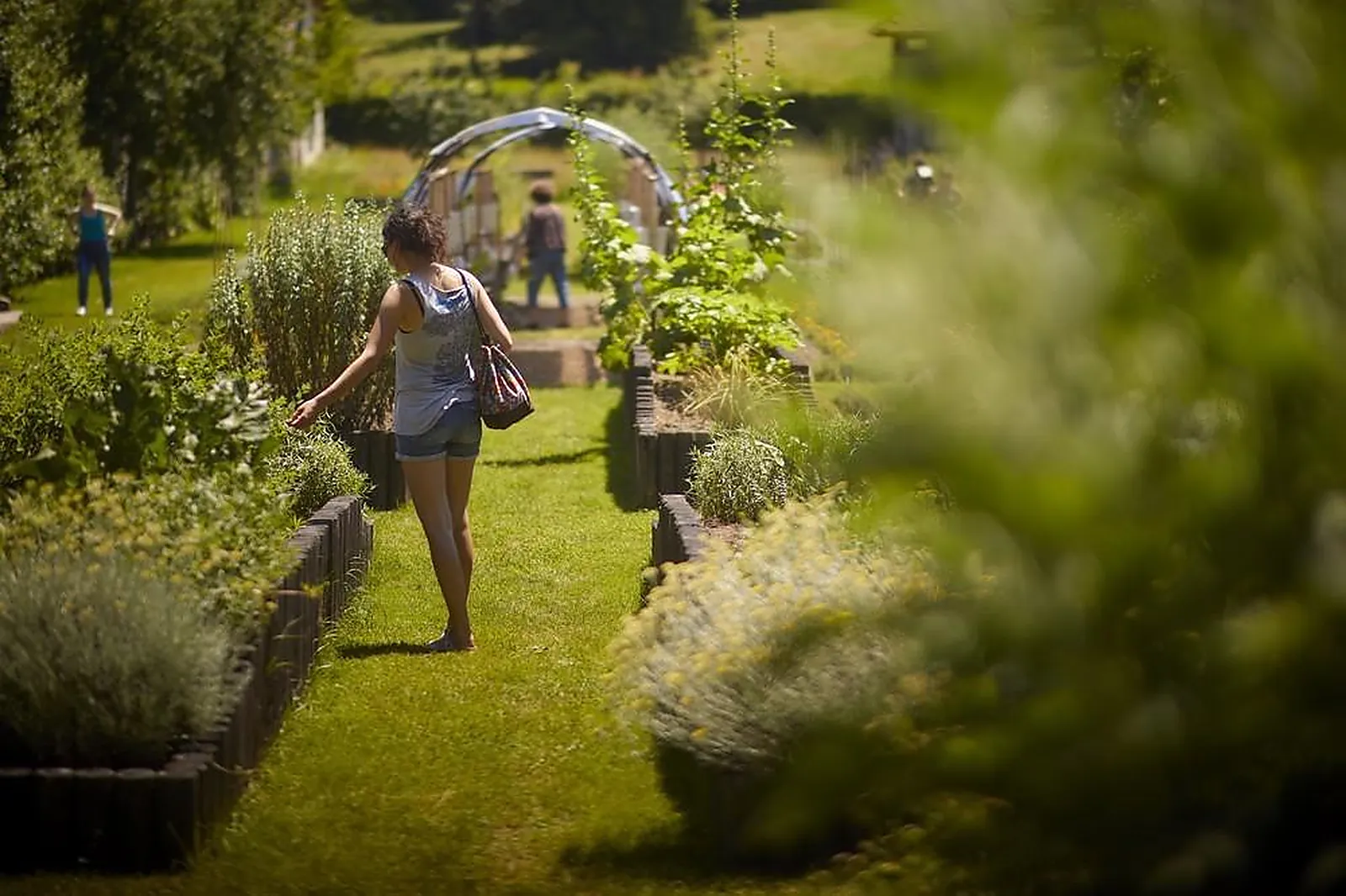 Lieux événementiels, PARC DE WESSERLING - ECOMUSÉE TEXTILE