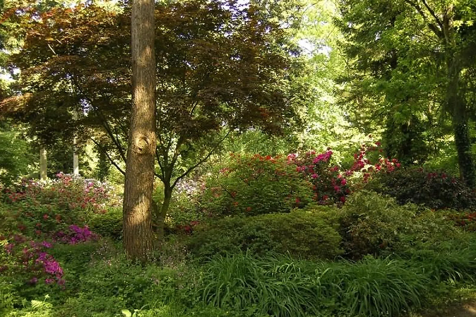 Lieux événementiels, PARC DE LA TEYSSONNIÈRE