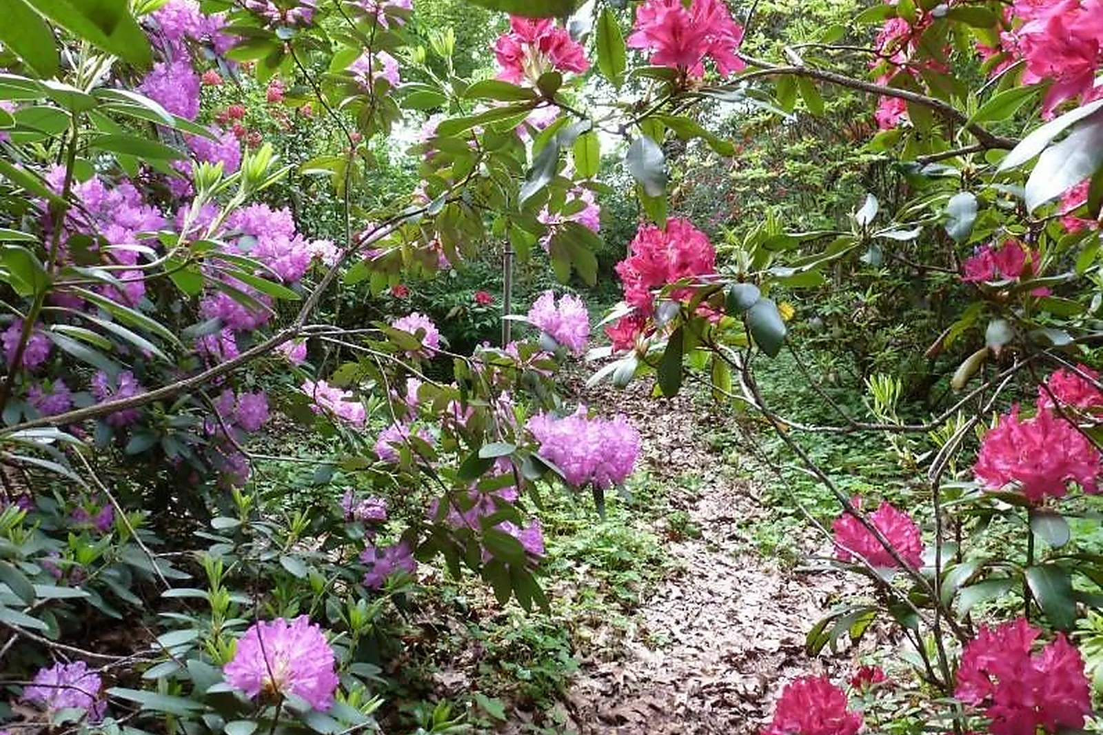 Lieux événementiels, PARC DE LA TEYSSONNIÈRE