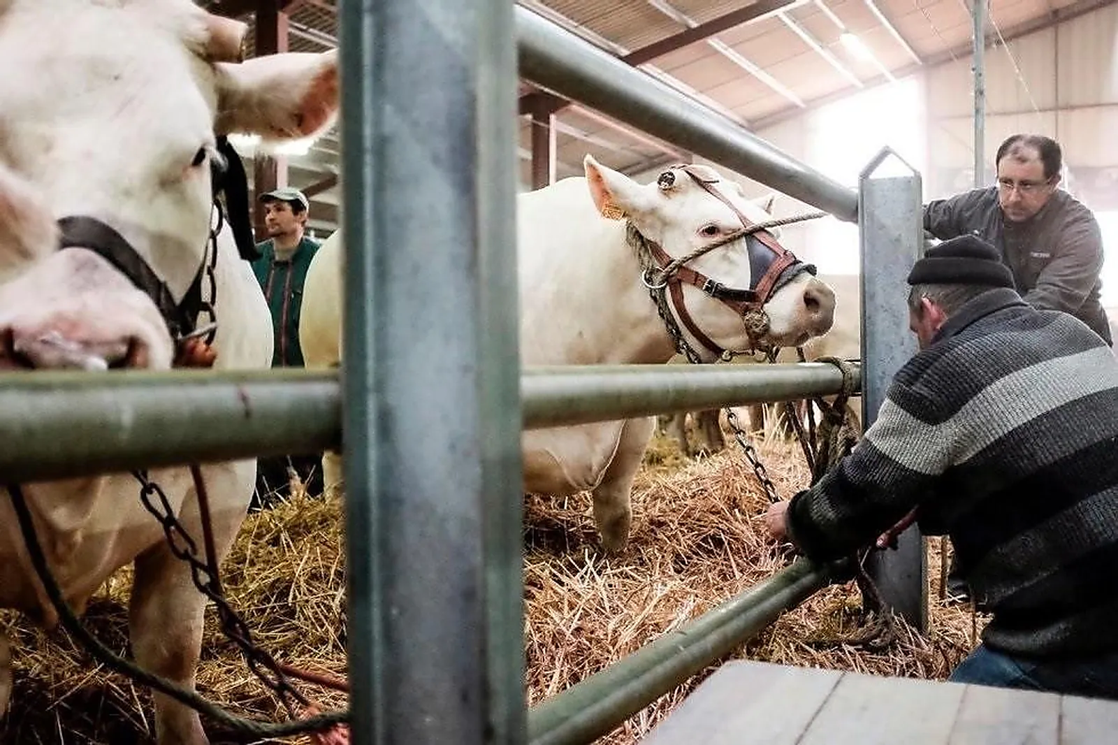 Lieux événementiels, PARC DES EXPOSITIONS DE MONTLUÇON