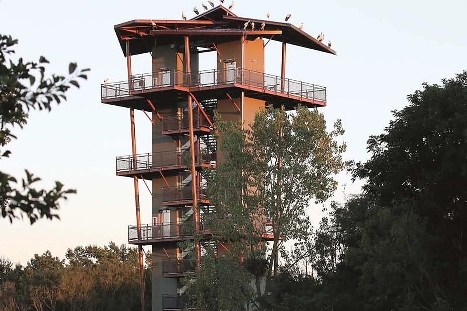 Lieux événementiels, PARC DES OISEAUX